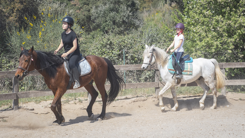 Équitation Sainte-Maxime