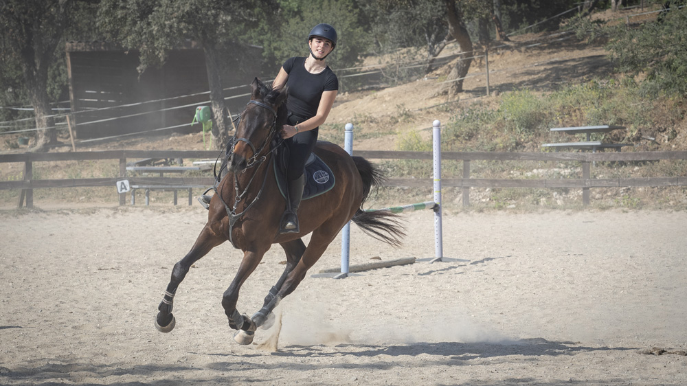 Cours d'équitation Saint-Tropez