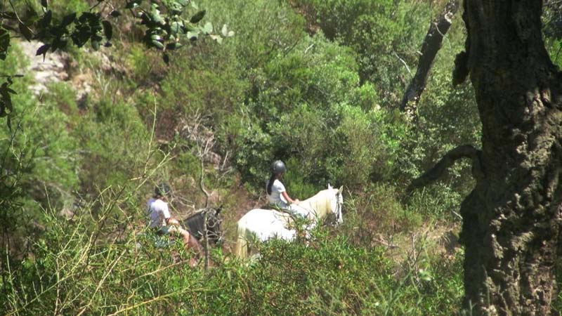 Balade à cheval Fréjus