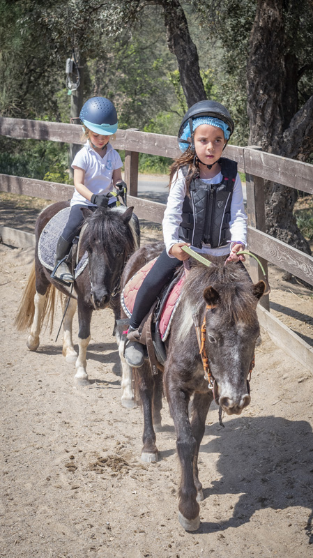 Pension chevaux Sainte-Maxime