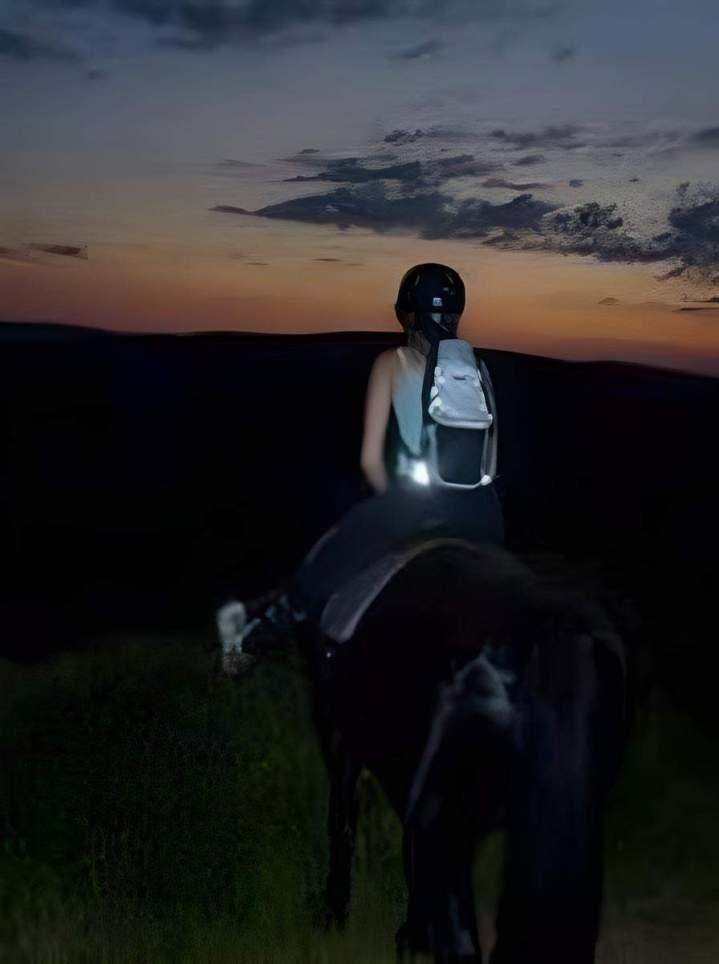 Horses and nature in Sainte-Maxime