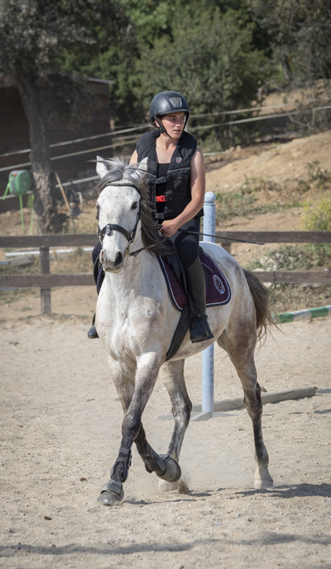 Balade à cheval Fréjus