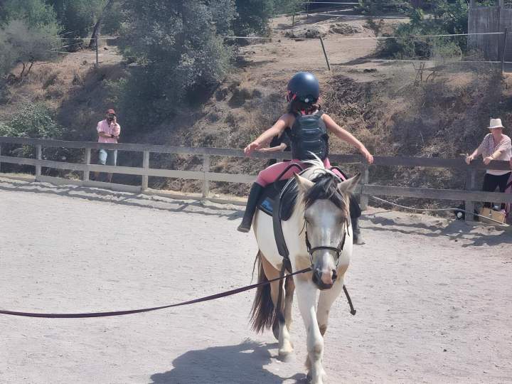 Horse riding course in Sainte-Maxime
