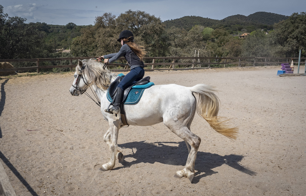 Stage d'équitation Saint-Tropez
