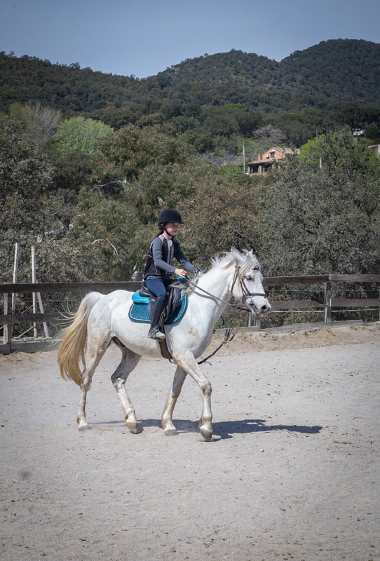 Cours d'équitation Saint-Tropez
