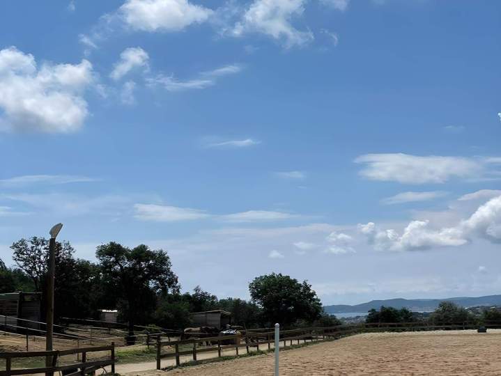 Sainte-Maxime horse boarding