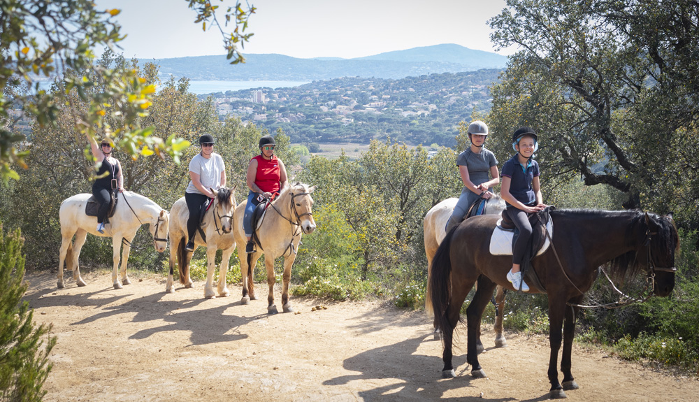 Pension chevaux Saint-Tropez