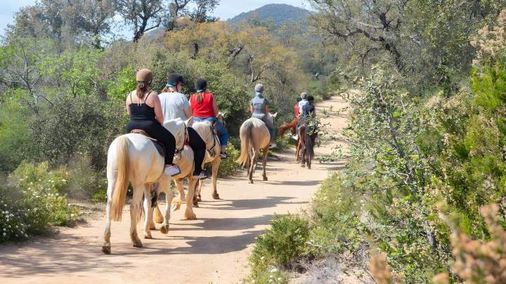 Horseback riding in Sainte-Maxime