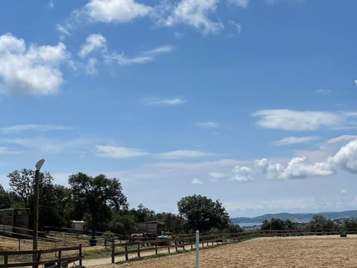 Pension chevaux Sainte-Maxime