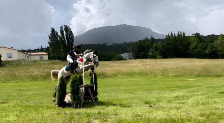 Learn horse riding in Sainte-Maxime