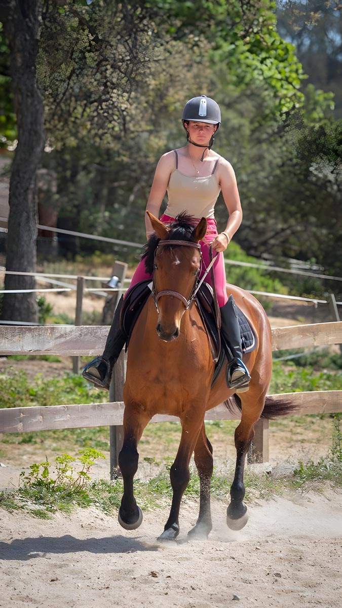 Horse riding lessons in Sainte-Maxime