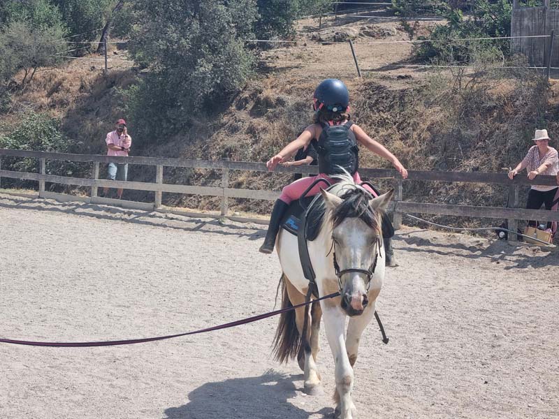 Stage d'équitation Sainte-Maxime