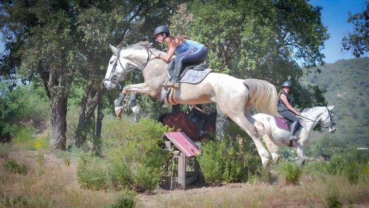 Sainte-Maxime Riding School