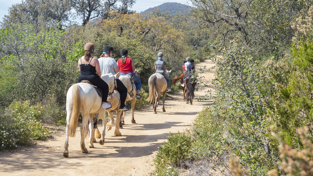 Balade à cheval Sainte-Maxime