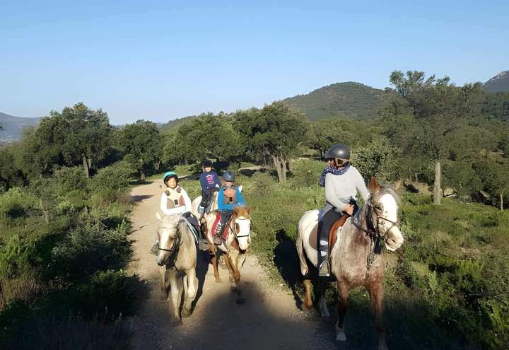 Horseback riding in Sainte-Maxime