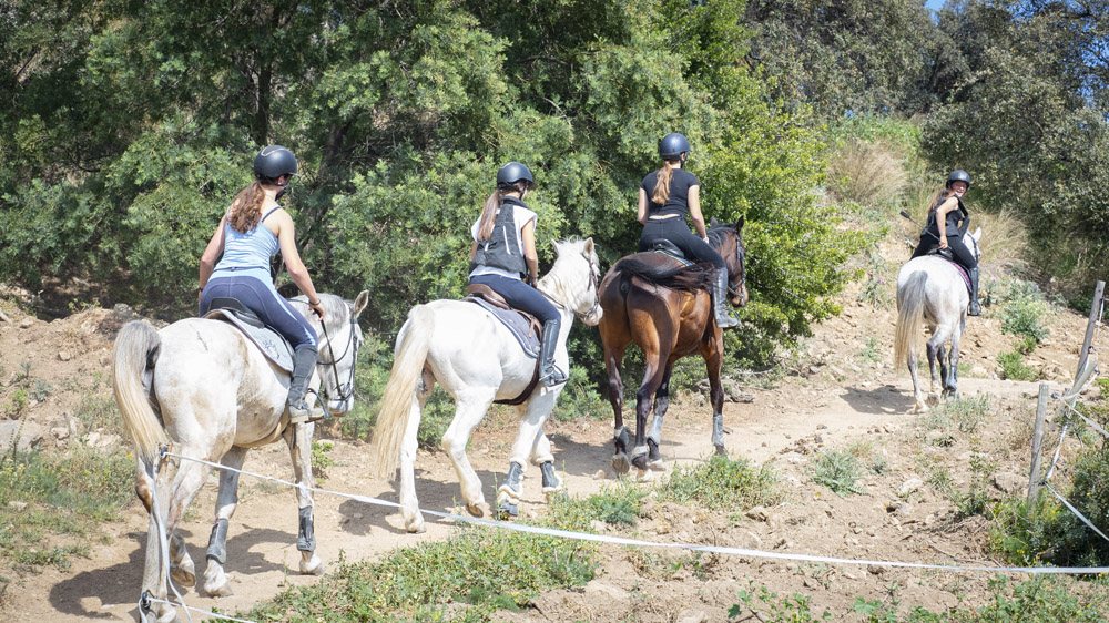 RANCH ELDORADO Chemin Des Ribes 83120 SAINTE MAXIME