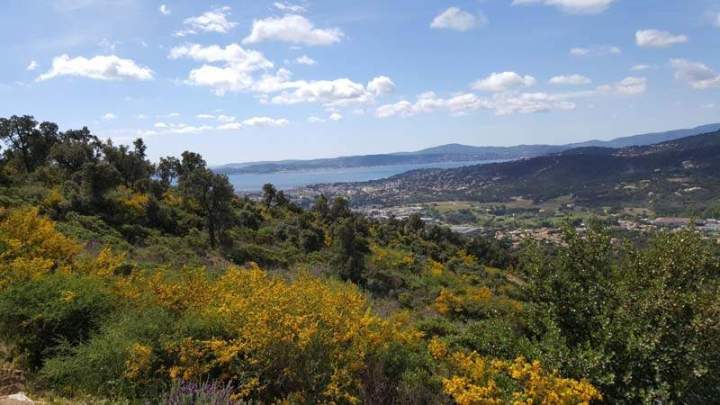 Walk in Sainte-Maxime