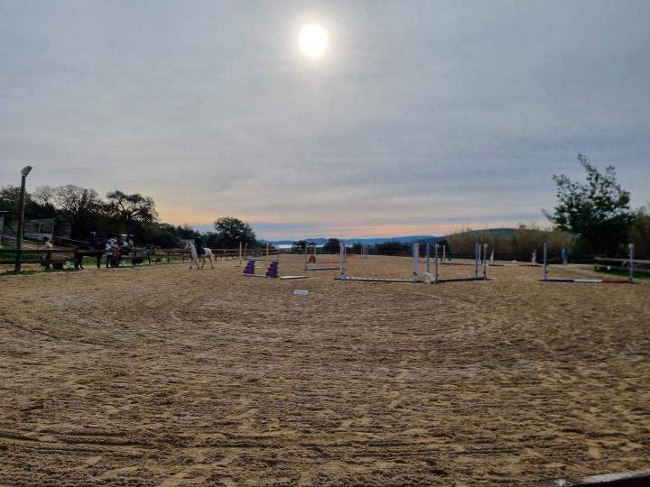 Horse riding lessons in Sainte-Maxime