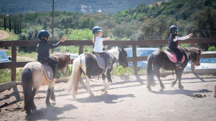 Pony riding lessons in Sainte-Maxime