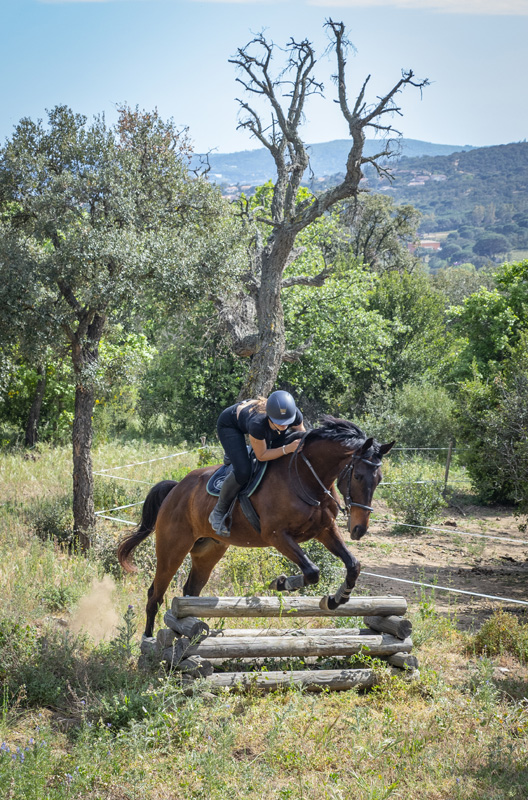 RANCH ELDORADO Chemin Des Ribes 83120 SAINTE MAXIME
