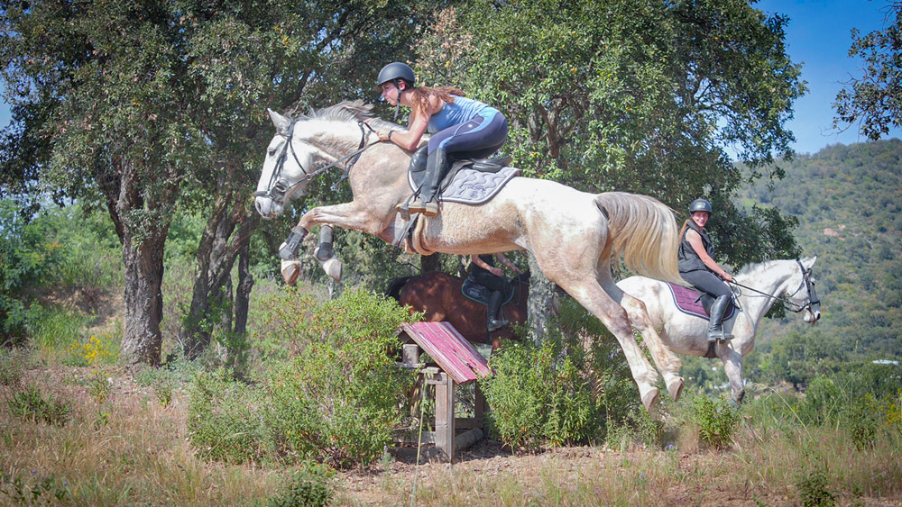Équitation Saint-Tropez