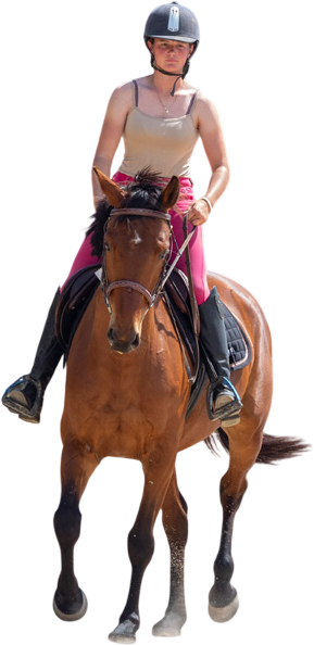 Stage équitation Sainte‑Maxime